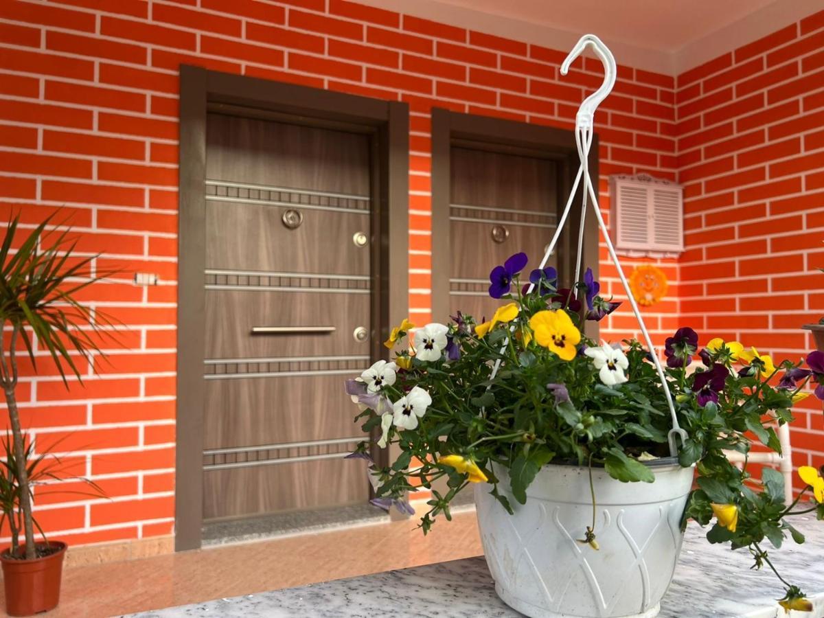 Chestnut Yard Villa Tiranë Ngoại thất bức ảnh